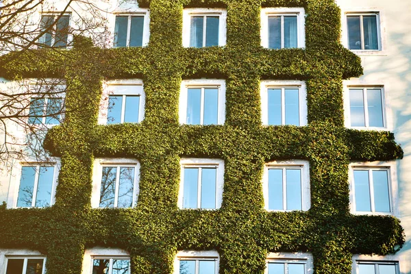 Hagyományos ház a német stílusú, Bajorországban. Az építészet, házak, Németország. A ház borított növények. — Stock Fotó