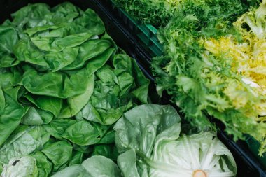 Marul piyasada satılan. Taze vejetaryen yemek.