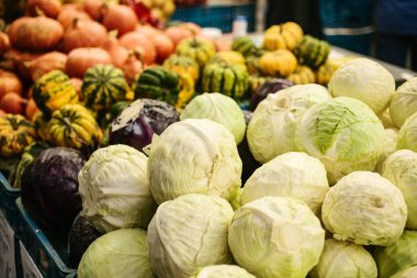 Taze lahana çiftçiler piyasada. Diyet ve vejetaryen ürün. Çiftlik piyasada doğal yerel ürünleri. Hasat. Mevsimlik ürünler. Gıda. Sebze.