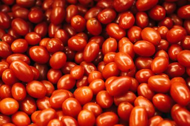 Kırmızı taze domates arka plan. Çiftlik piyasada doğal yerel ürünleri. Hasat. Mevsimlik ürünler. Gıda. Sebze.