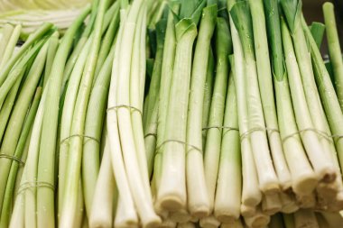 Yeşil soğan. Organik ürünler vitamin zengin. Çiftlik piyasada doğal yerel ürünleri. Hasat. Mevsimlik ürünler. Gıda.