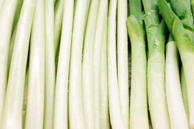 Yeşil soğan arka plan. Organik arka plan. Ürünleri vitamin zengin. Çiftlik piyasada doğal yerel ürünleri. Hasat. Mevsimlik ürünler. Gıda.