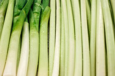 Yeşil soğan arka plan. Organik arka plan. Ürünleri vitamin zengin. Çiftlik piyasada doğal yerel ürünleri. Hasat. Mevsimlik ürünler. Gıda.