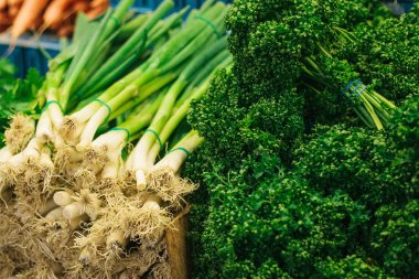 Farklı Yeşiller. Soğan ve maydanoz çiftçiler piyasada. Çiftlik piyasada doğal yerel ürünleri. Hasat. Mevsimlik ürünler. Gıda.