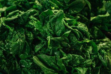 Ispanak arka plan. Çiftlik piyasada doğal yerel ürünleri. Hasat. Mevsimlik ürünler. Gıda. 