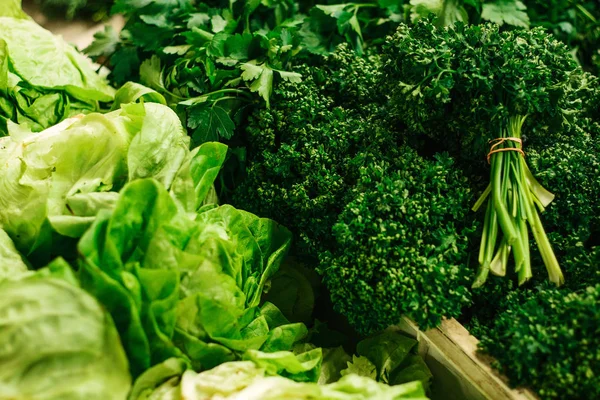 파 슬 리입니다. 팜 시장에 greengrocery입니다. 농장 시장에서 자연적인 지역 제품입니다. 수확. 계절 제품입니다. 음식. — 스톡 사진