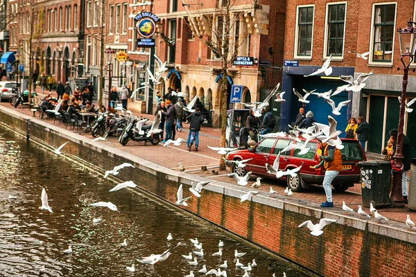 Amsterdam, The Nederland, 2 januari 2017: Dagelijks leven in Amsterdam. Levensstijl. — Stockfoto