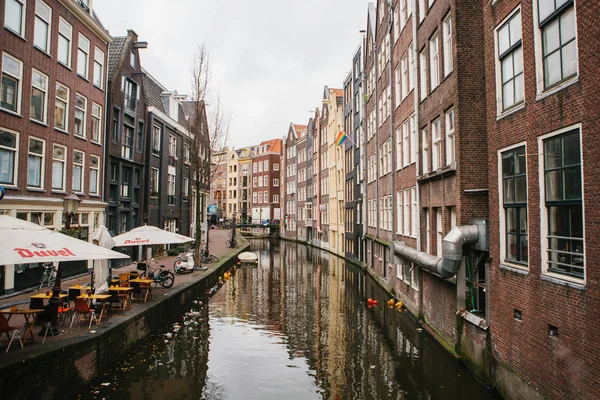 Амстердам, Нідерланди, 2 січня 2017: Повсякденне життя в Амстердамі. Спосіб життя. — стокове фото