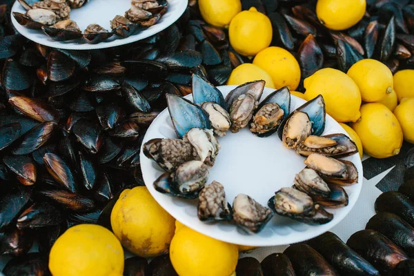 A lot of mussels with lemon on a plate. Sea food. — Stock Photo, Image
