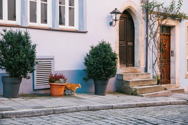 A külső egyszerű gyönyörű kék rendelkező hagyományos ház, növények és háziállatok, Rothenburg ob der Tauber Németországban. Európai város. — Stock Fotó