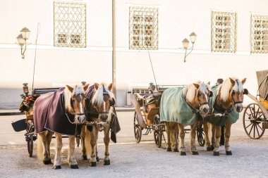 Avusturya Salzburg ana kare üzerinde kışın vagonlar atlarla. Eğlence turist, At Binme. Tatil, gezi.