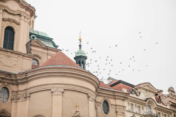 在捷克共和国布拉格老城广场圣尼古拉教堂的外表。体系结构。宗教建筑。鸟儿飞翔在大楼附近. — 图库照片