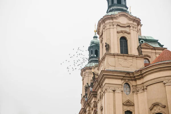 Exterior of the Church of St. Nicholas in the Old Town Square in Prague, Czech Republic. Architecture. Religious building. Birds fly near the building. — Stock Photo, Image