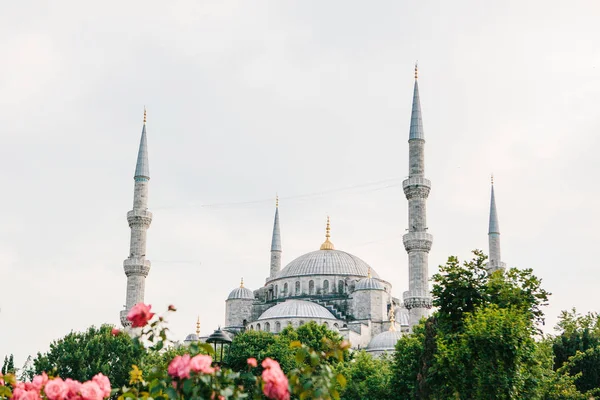 A világhírű Kék mecset Isztambul néven Sultanahmet. Törökország. — Stock Fotó