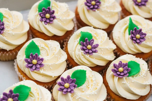 Čerstvě upečené vanilkové cupcakes s krémem, pohled shora. Sladké pozadí. — Stock fotografie