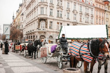 Prag, 13 Aralık 2016: Prag'da Noel. At arabaları ve Arabacı ile Noel tatili sırasında Prag ana Meydanı'nda turistler için bekliyor