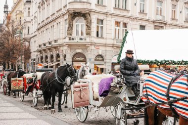 Prag, 13 Aralık 2016: Prag'da Noel. At arabaları ve Arabacı ile Noel tatili sırasında Prag ana Meydanı'nda turistler için bekliyor