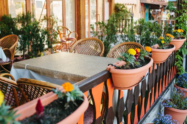 View of empty open summer cafe with wicker chairs and wooden furniture next to pots with plants and flowers. — Stock Photo, Image
