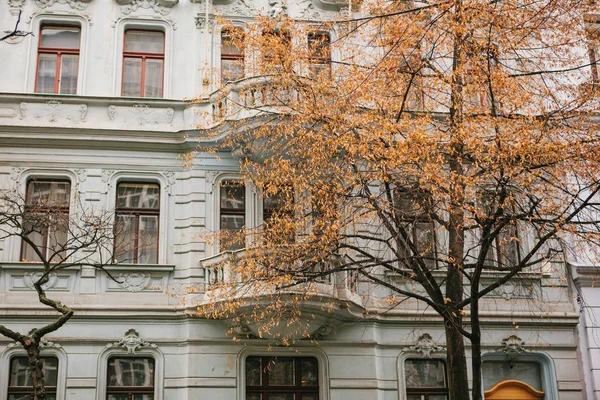 Традиційний фасад будівель, екстер'єру будинків у Празі. Закри красиву старовинну будівлю. Наступний дерево без листя у пізній осіні. — стокове фото