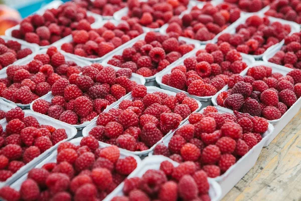 Ahududu üst üste masada kaplarda çok. Yararlı vitamin zengin bir besindir. Hasat.