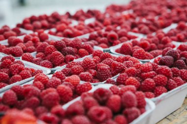 Ahududu üst üste masada kaplarda çok. Yararlı vitamin zengin bir besindir. Hasat.