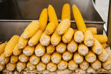 Sarı taze mısır koçanı birbirinin üstüne yalan. Besleyici gıda