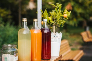 Ev yapımı limonata yenileme satış. Limonata üç şişe üst üste hazır. Berry, portakal ve limon nane içecekler şişe içinde. Arka Park banklar