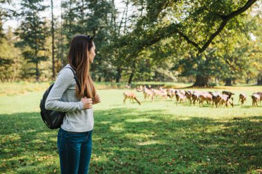Genç güzel kız vahşi Ren geyiği uzaktan otlatma bakarak sırt çantası ile seyahat. Hayvanların doğal yaşam alanı.