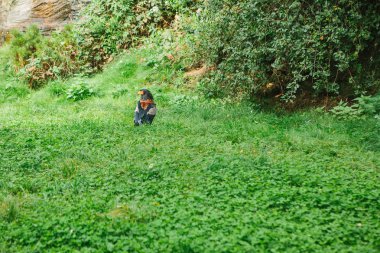 Kartal veya Şahin. Tüylü veya açık hava çim üzerinde bir yırtıcı kuş. Sarı Gaga ve yabani kuş veya predator koruma kırmızı listesinin altında.