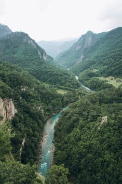 Karadağ 'daki Tara Nehri Kanyonu.