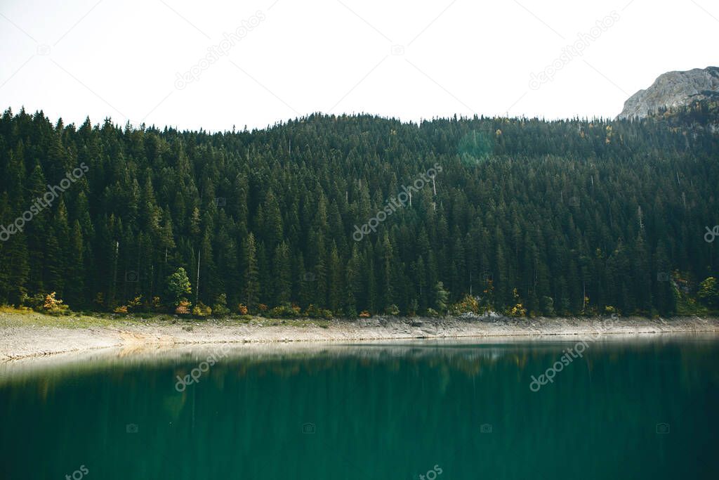 Beautiful view of the lake called Black Lake against the background of the forest in Montenegro. Natural landscape.