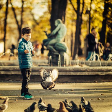 Güvercinlerin şehir parkı ile oynayan sevimli çocuk