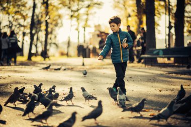 Güvercin besleme sevimli çocuk parkı,