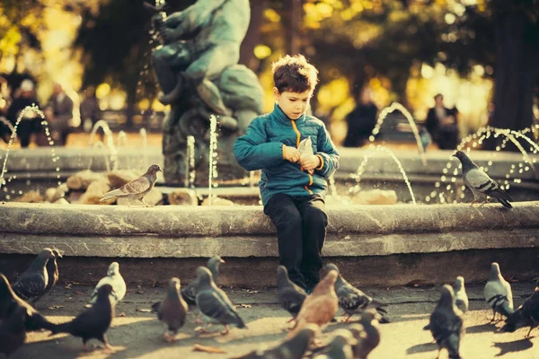 Lindo Niño Alimentación Palomas Parque —  Fotos de Stock