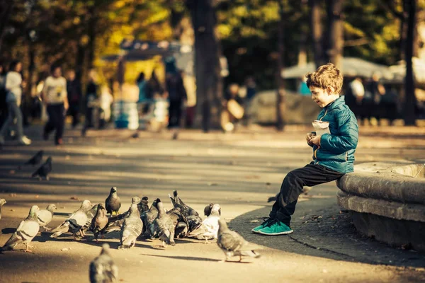 Lindo Chico Parque Alimentando Palomas — Foto de Stock