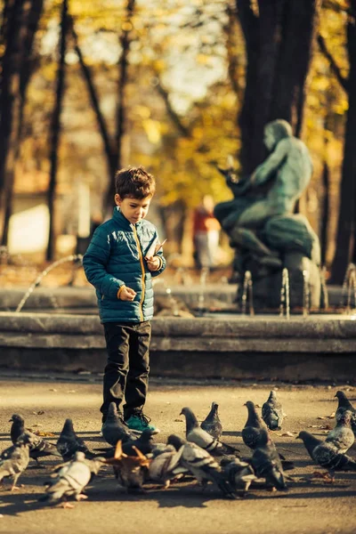 Criança Alimentando Pombos Parque Cidade — Fotografia de Stock