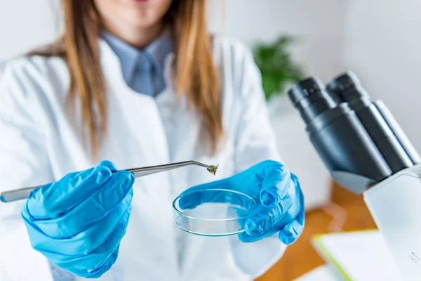 Scientific Laboratory Research Technician Laboratory Work — Stock Photo, Image