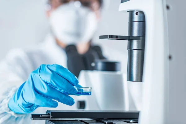 Biotech Lab Research Technician Placing Petri Dish Cell Culture Microscope — Stock Photo, Image