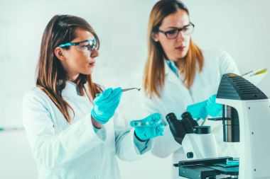 Biyoteknoloji araştırma. Laboratuvarda çalışan bilim adamları