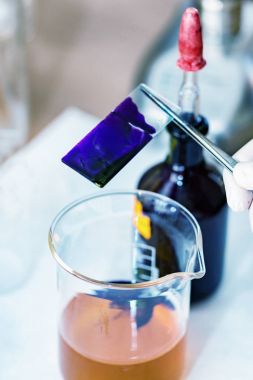 Mikrobiyoloji. laboratuarda çalışan bilim adamı 