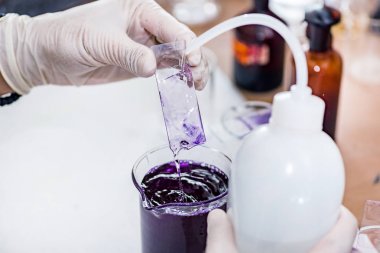 Laboratuarda çalışan Mikrobiyoloji bilim adamı 