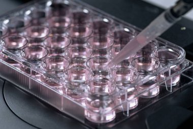 Bilim araştırmacı laboratuarda