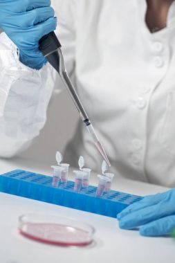 Laboratuvarda çalışan bilimsel araştırmacı.