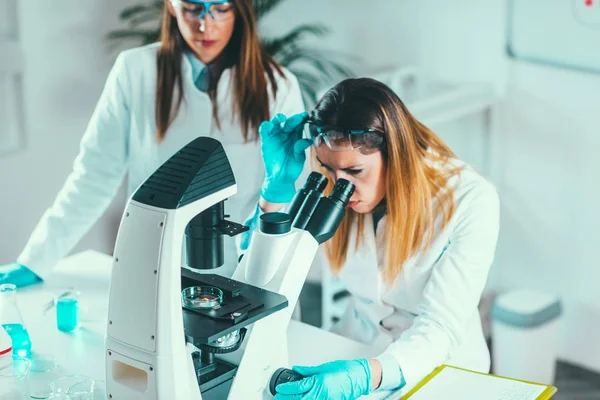 Pesquisa Ciências Vida Cientistas Colocando Amostra Sob Microscópio — Fotografia de Stock