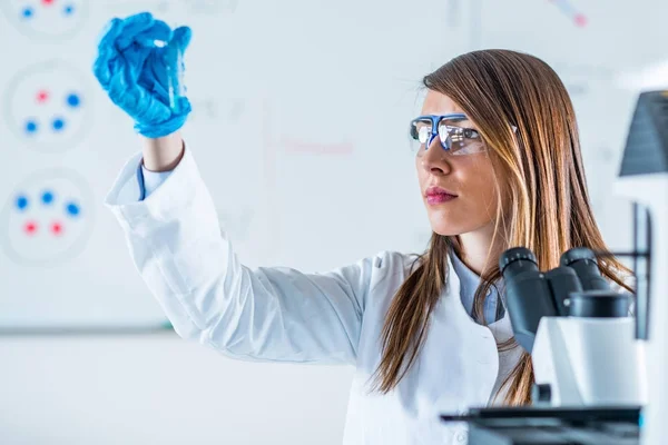 Investigação Científica Laboratório Cientista Que Trabalha Laboratório — Fotografia de Stock