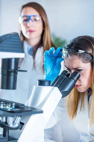 Life Science Research Scientists Placing Sample Microscope — Stock Photo, Image