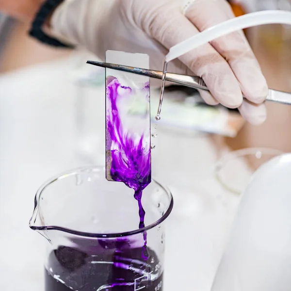 Laboratuarda çalışan Mikrobiyoloji bilim adamı 