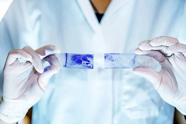 Laboratório Microbiologia Cientista Comparando Resultados — Fotografia de Stock