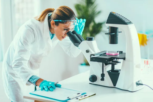 Young Scientist Working Her Lab — Stock Photo, Image