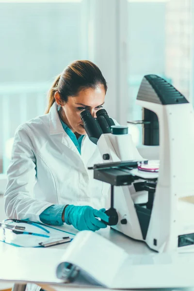 Química Feminina Técnica Laboratório Que Pesquisa Amostras Laboratório — Fotografia de Stock